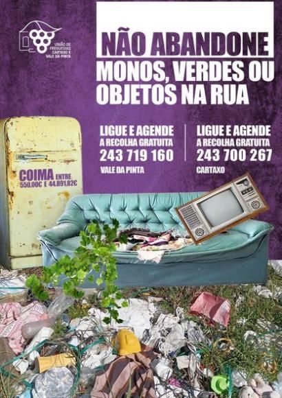 Apelo ao n&atilde;o abandono do lixo na Via P&uacute;blica
