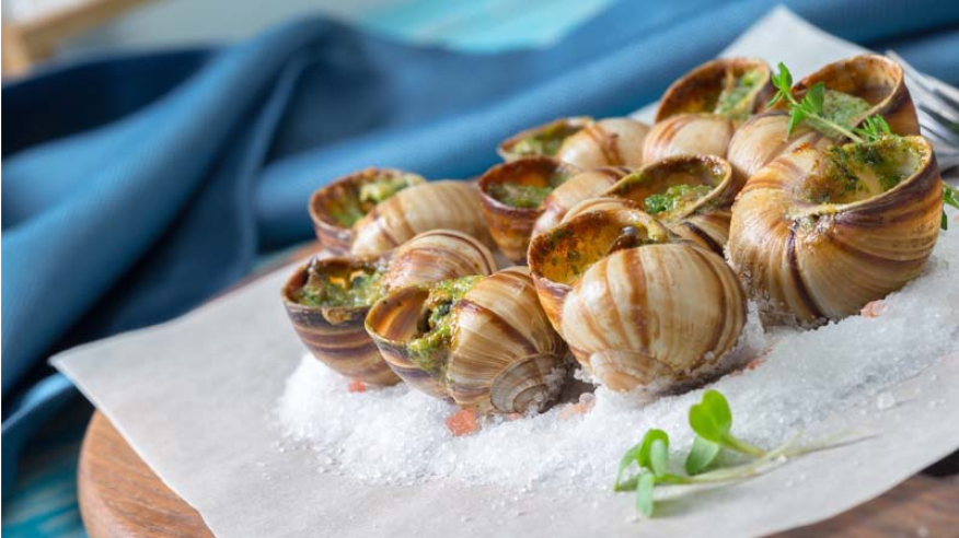 Festival do Caracol e da Caracoleta em Vale da Pinta