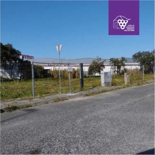 Regulariza&ccedil;&atilde;o da Topon&iacute;mia da Cidade do Cartaxo