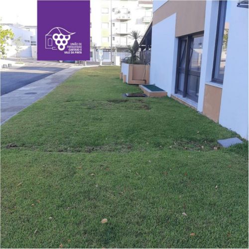 Trabalhos no Espa&ccedil;o P&uacute;blico