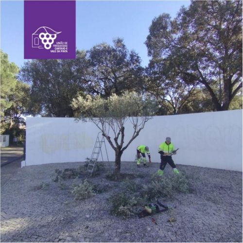 Trabalhos no Espa&ccedil;o P&uacute;blico